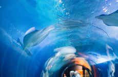 Aquarium of the Bay Tickets