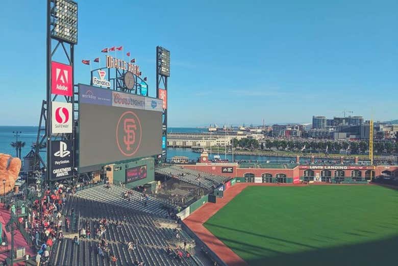Feel the excitement of baseball!